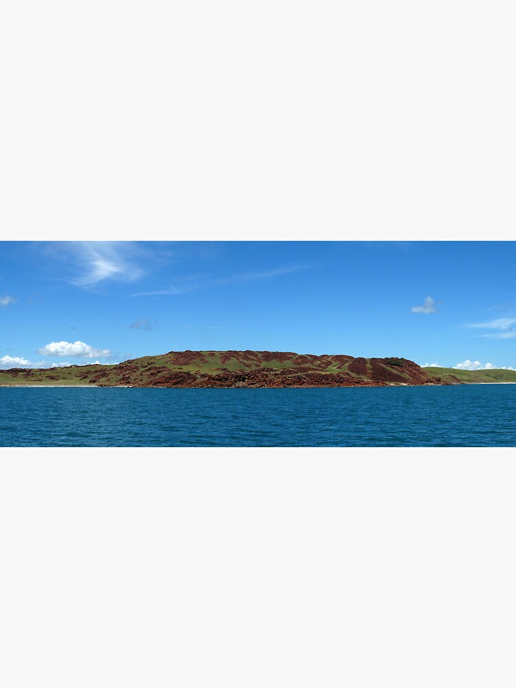 Enderby Island by neoniphon