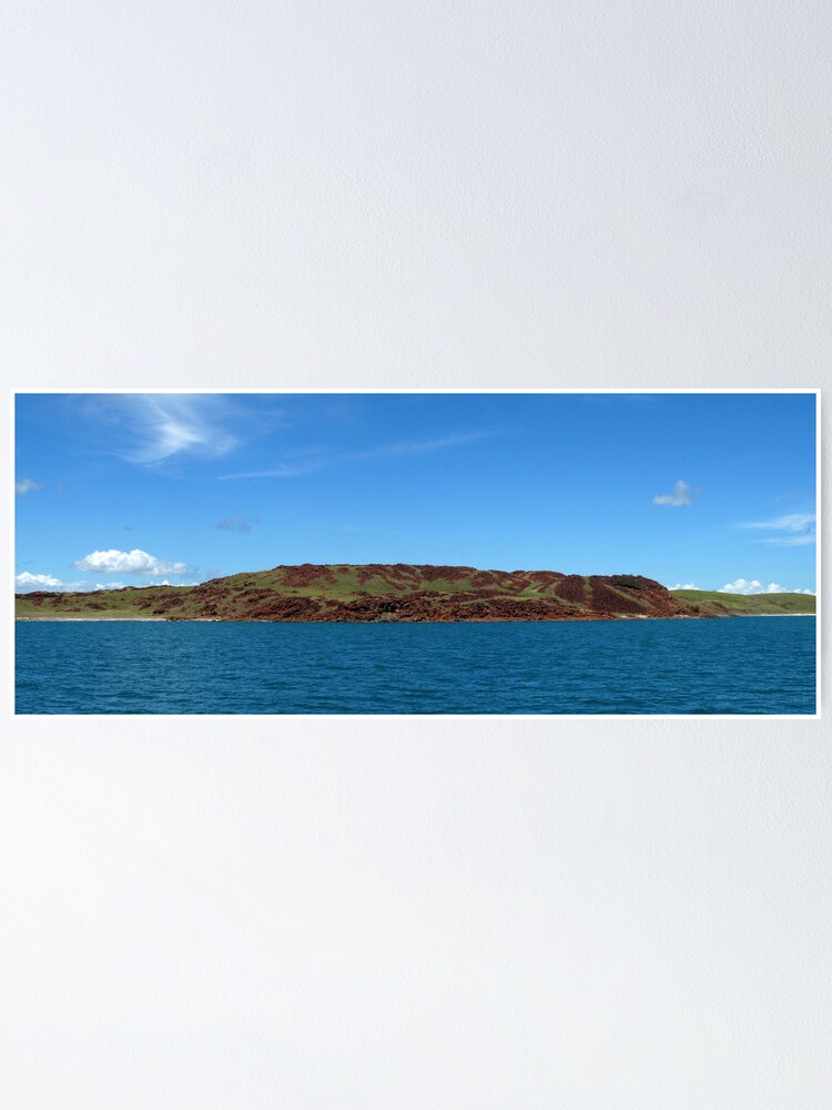 Alternate view of Enderby Island Poster