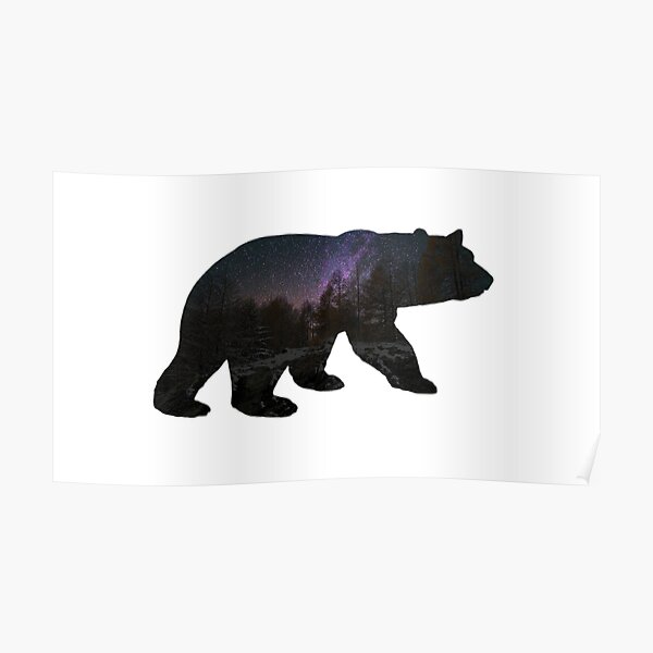 Bear with starry sky Poster