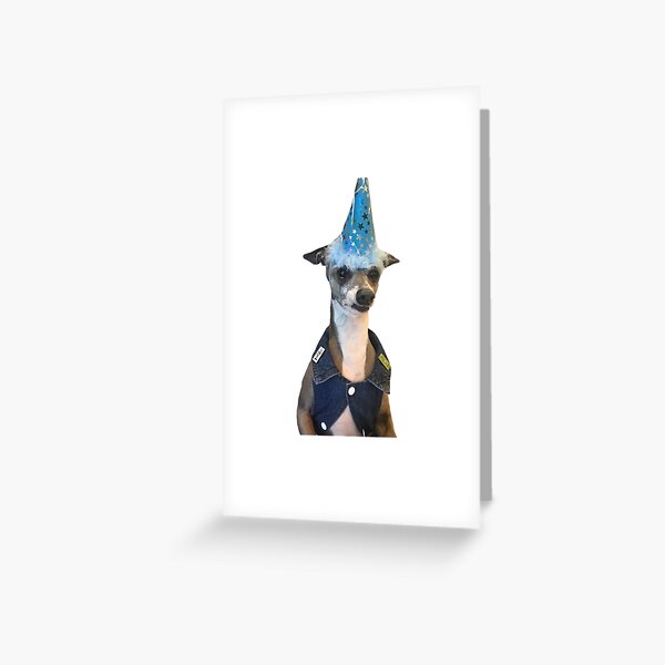 Kermit in birthday hat Greeting Card