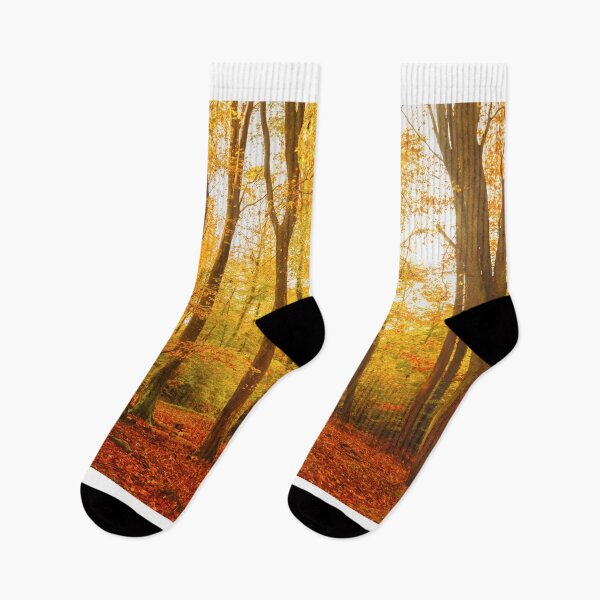 Item preview, Autumn Forest designed and sold by Philippe Sainte-Laudy.
