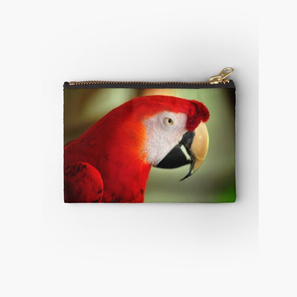 Item preview, Frankly Scarlett..... designed and sold by Robert G. Case.