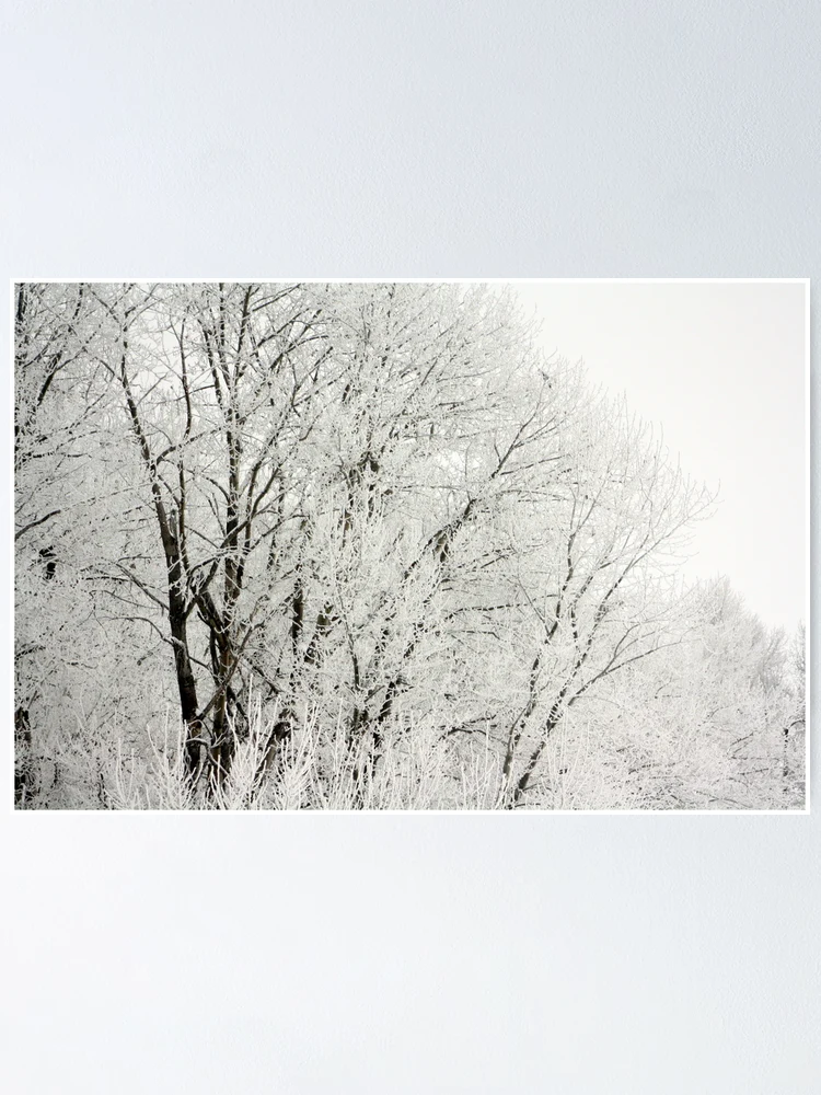 Thumbnail 1 of 3, Poster, Branches designed and sold by Rachell Taylor.