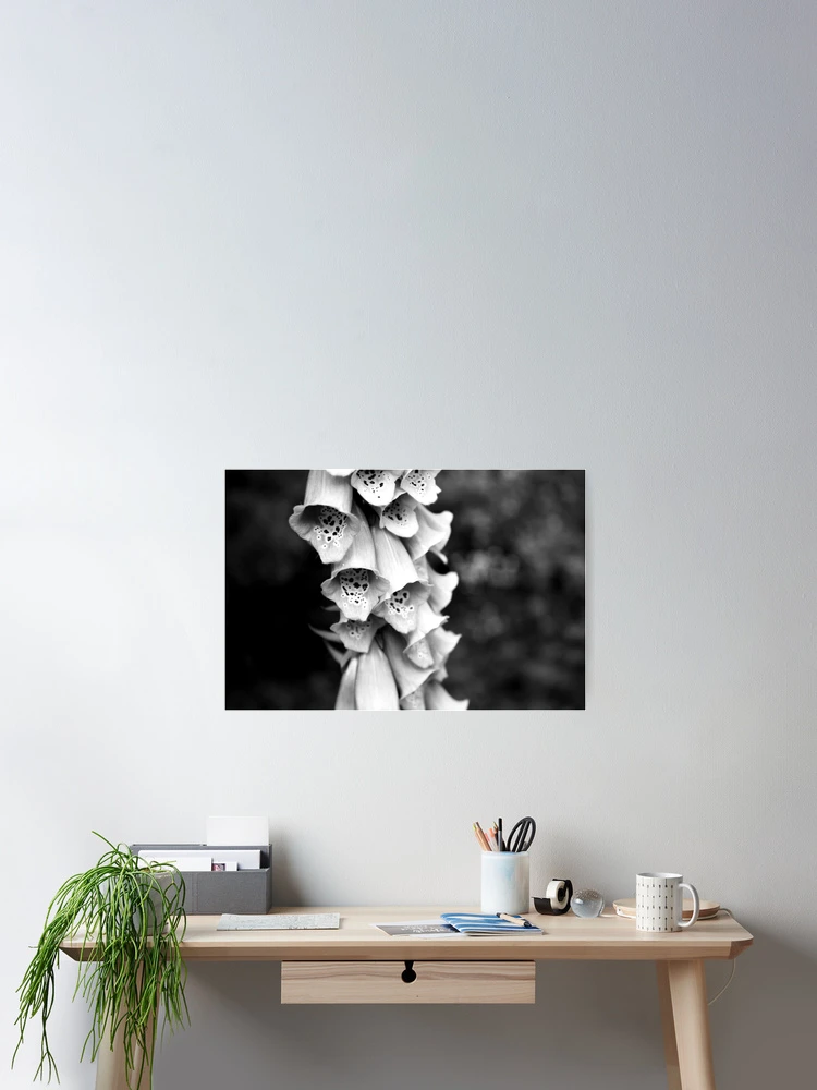 Thumbnail 2 of 3, Poster, Foxglove designed and sold by Rachell Taylor.