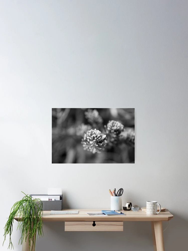 Thumbnail 2 of 3, Poster, Pine designed and sold by Rachell Taylor.