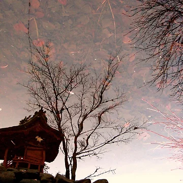 Artwork thumbnail, Red Dawn by Rachell Taylor