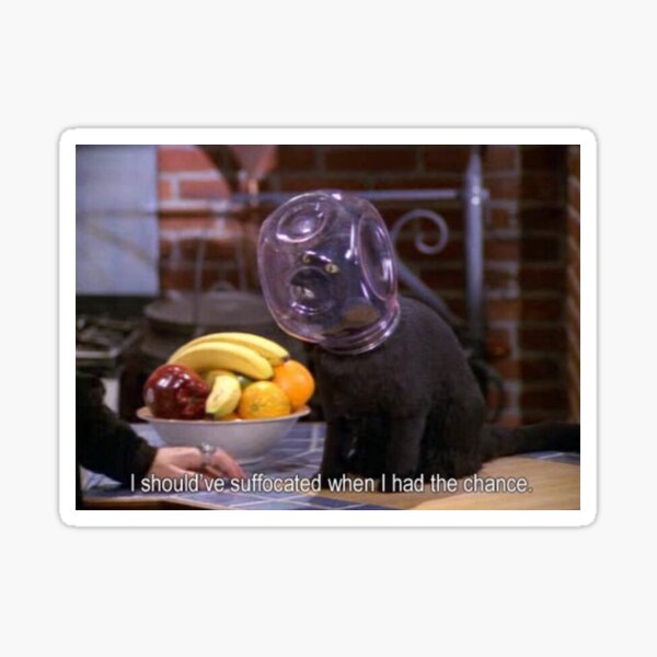 Item preview, salem the cat suffocation meme designed and sold by itskalymydudes.