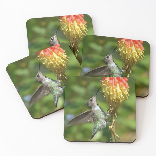 Item preview, Hummingbird on Red Hot Poker designed and sold by K D Graves Photography.