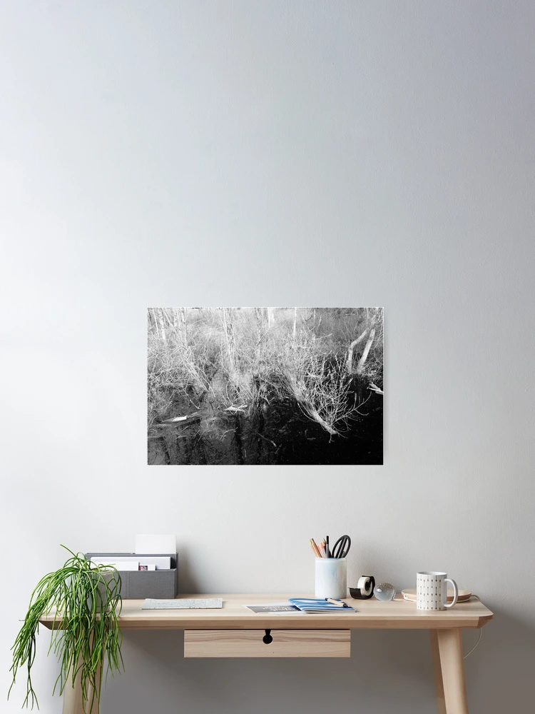 Thumbnail 2 of 3, Poster, Skeletal designed and sold by Rachell Taylor.