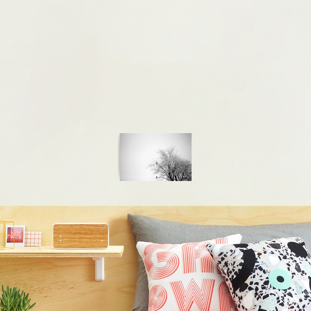 Item preview, Photographic Print designed and sold by Rachell Taylor.