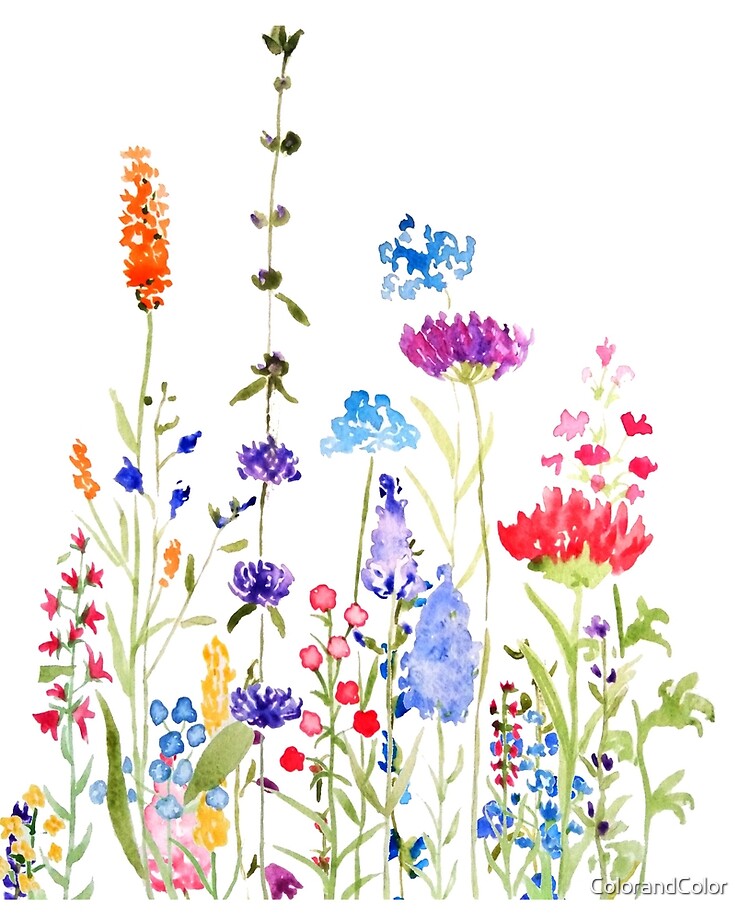 Watercolor Wildflowers Kids' Wall Decor - Decalcomania
