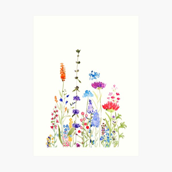 colorful wild flowers watercolor painting Art Print