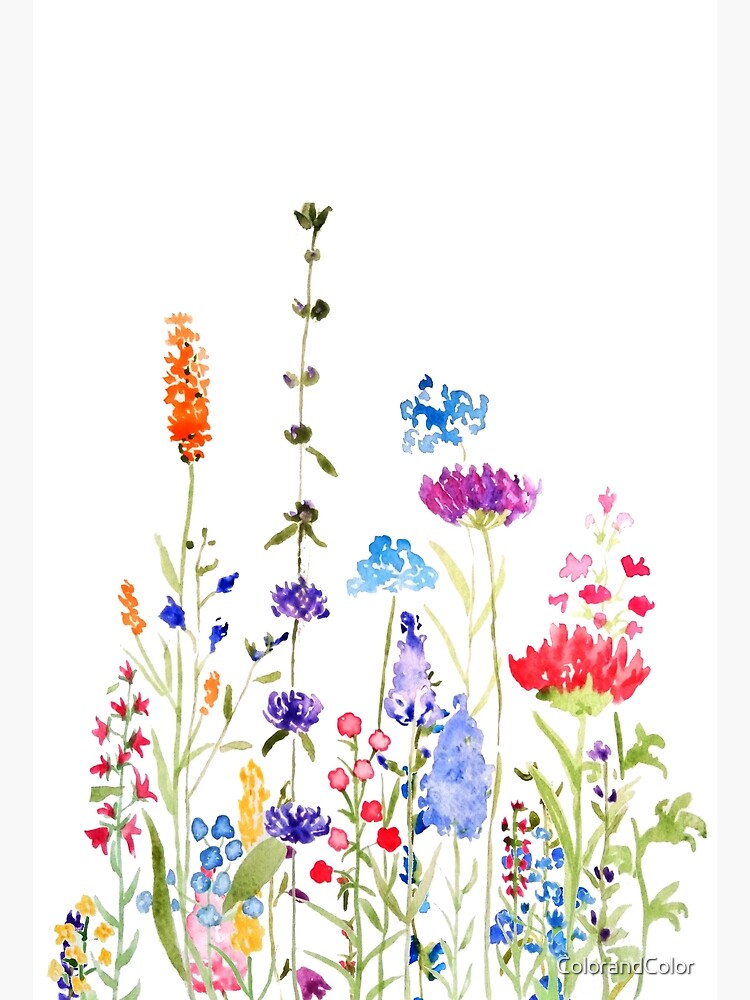 Wildflower Watercolor Book