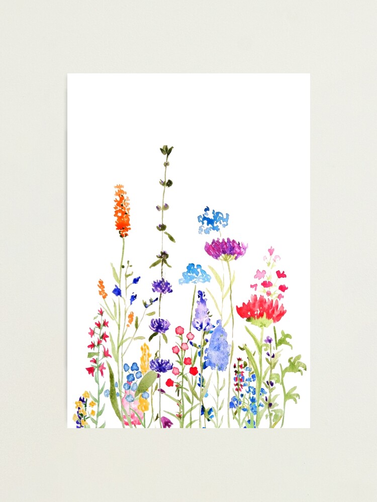 Watercolor Wildflowers Images – Browse 138,558 Stock Photos