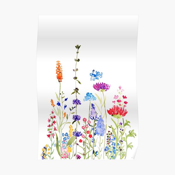 colorful wild flowers watercolor painting Poster