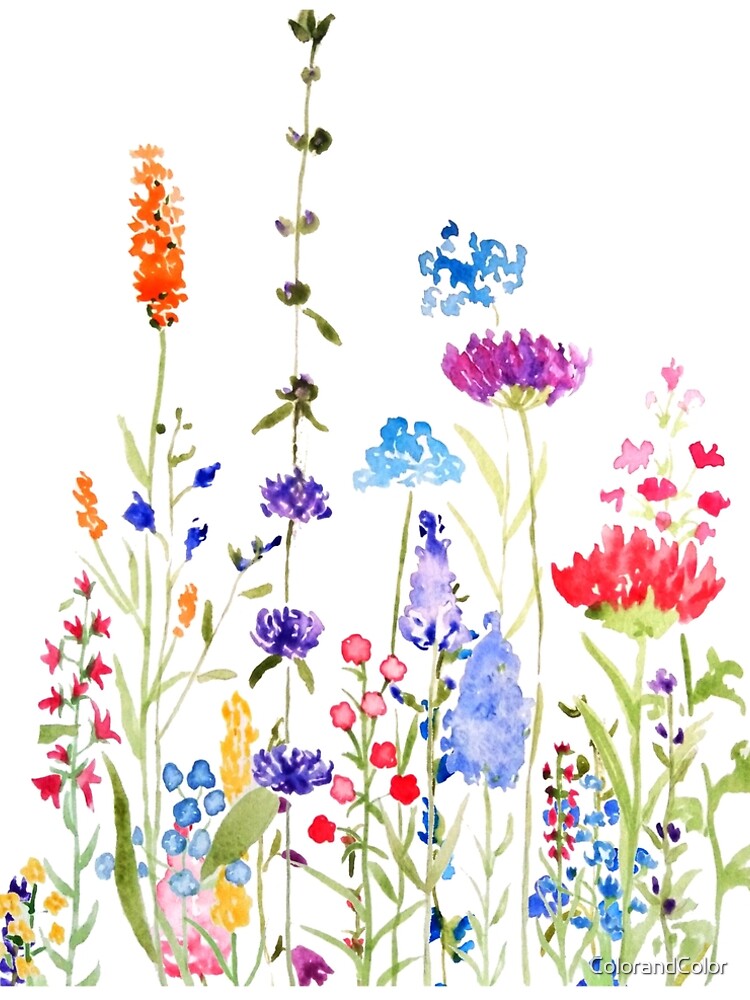 hand painted colorful wild flowers watercolor painting
