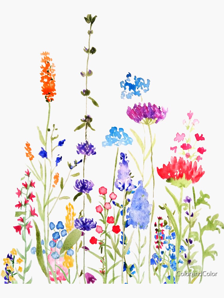Thumbnail 3 of 3, Sticker, hand painted colorful wild flowers watercolor painting designed and sold by ColorandColor.