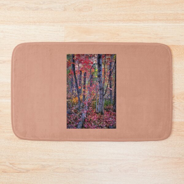 Item preview, Autumn Forest In Sedona Arizona designed and sold by K D Graves Photography.