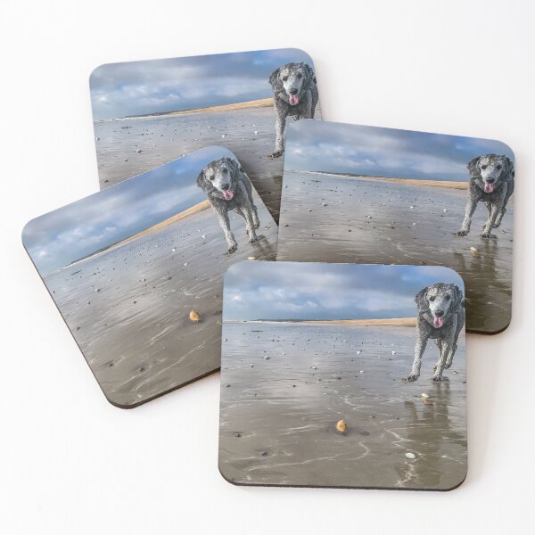 Item preview, Young silver poodle on a wet sandy beach designed and sold by RW Jemmett.