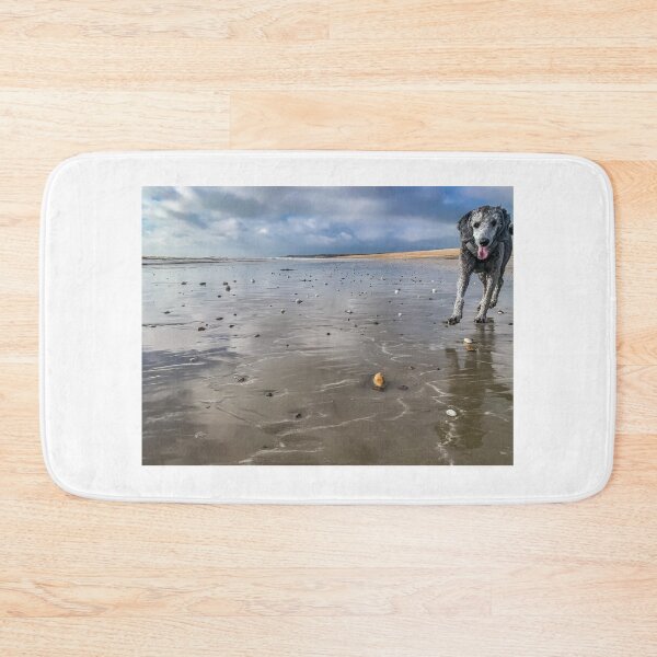 Item preview, Young silver poodle on a wet sandy beach designed and sold by RW Jemmett.