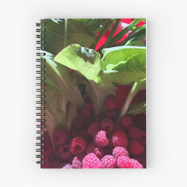 Aperçu de l'œuvre Nature morte - framboise - nature créée et vendue par BIPHOTONEWS.