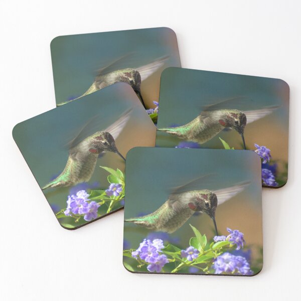 Item preview, Male Anna's Hummingbird In Flight designed and sold by K D Graves Photography.