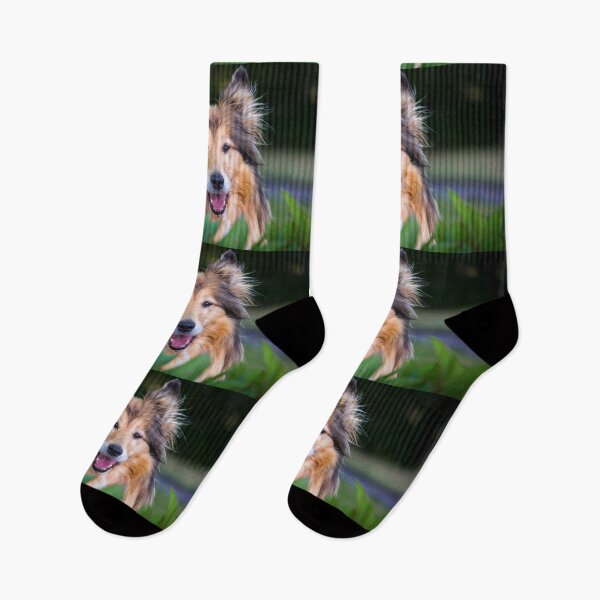 Item preview, Collie Surprise designed and sold by KarenWoodArt.