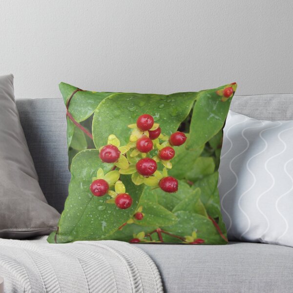 Item preview, Berries designed and sold by biddumy.