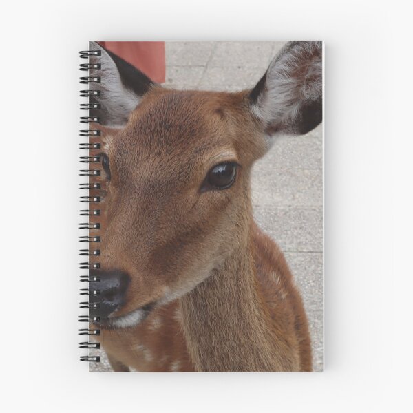 Item preview, Deers in Miyajima designed and sold by asapadventures.