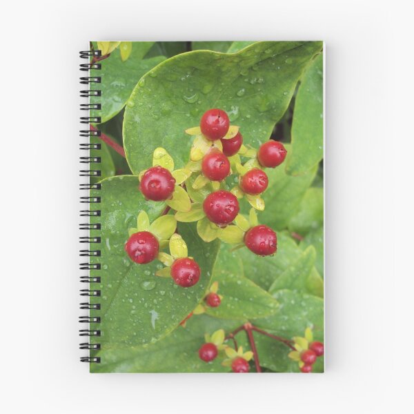 Item preview, Berries designed and sold by biddumy.