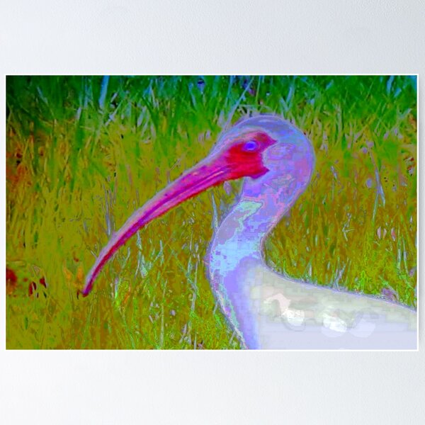 Item preview, Ibis design designed and sold by B. Randi Bailey.