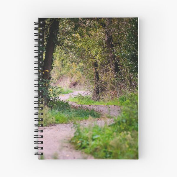 Item preview, Meandering pathway, Sant'Arcangelo, Lago Trasimeno, Umbria, Italy designed and sold by AndrewJonesFoto.