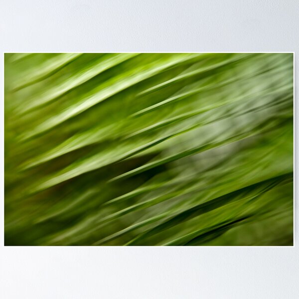 Item preview, Flight of the palms #05 designed and sold by LouD.