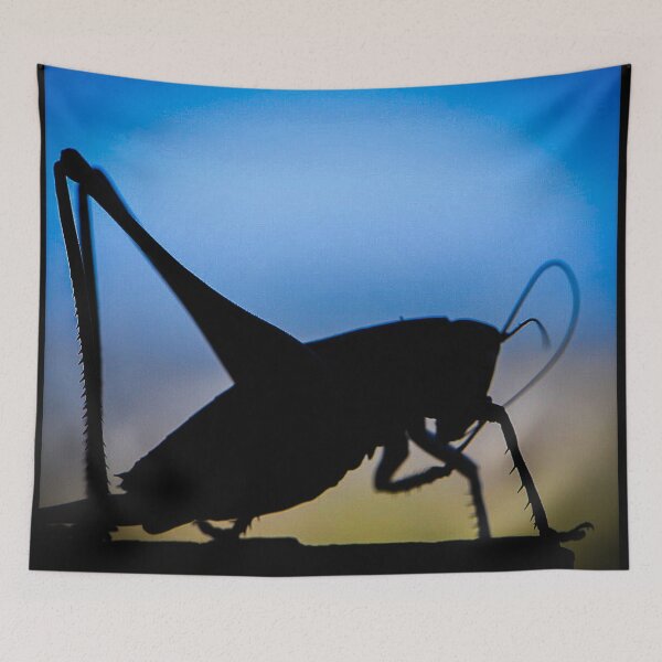 Item preview, Insect (MKW-I.29) designed and sold by Katrina Morgan.