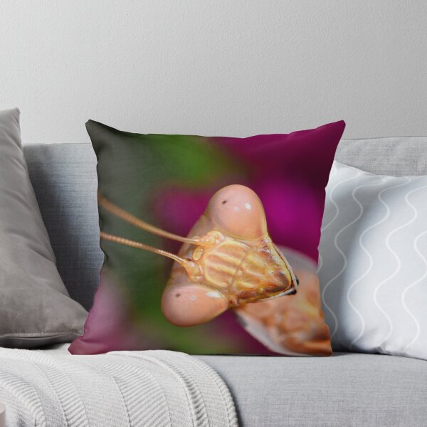 Item preview, Mantis (MKW-I.31) designed and sold by Katrina Morgan.