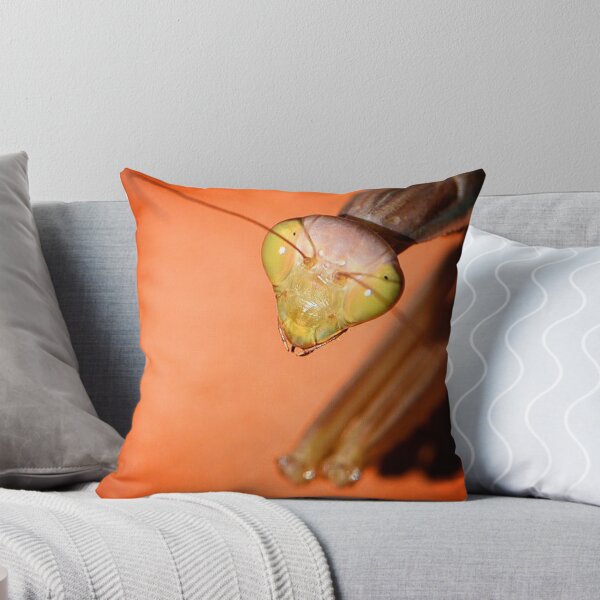 Item preview, Mantis (MKW-I.33) designed and sold by Katrina Morgan.