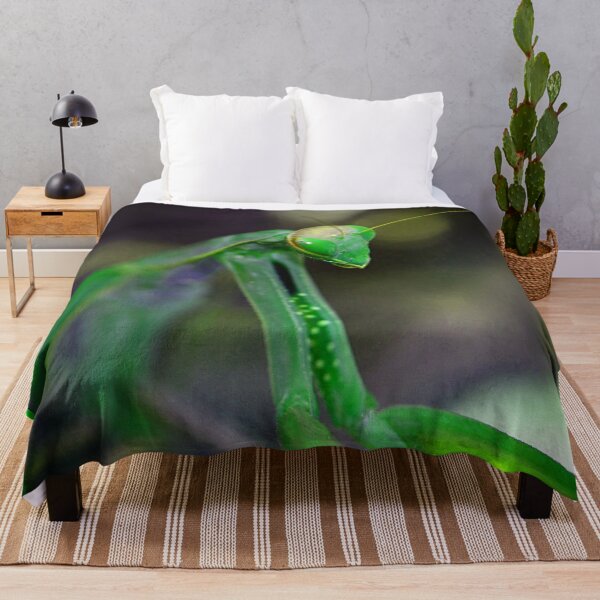 Item preview, Green Mantis (MKW-I.34) designed and sold by Katrina Morgan.