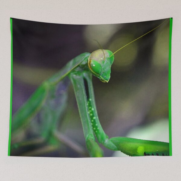 Item preview, Green Mantis (MKW-I.34) designed and sold by Katrina Morgan.