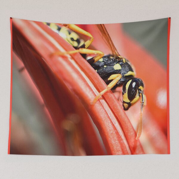 Item preview, Mr Wasp (MKW-I.36) designed and sold by Katrina Morgan.
