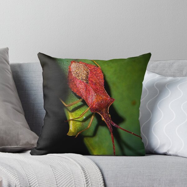 Item preview, Insect (MKW-I.37) designed and sold by Katrina Morgan.