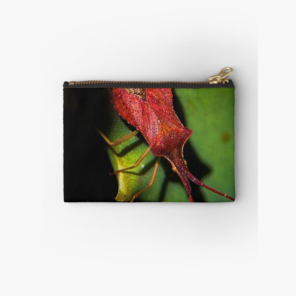 Item preview, Insect (MKW-I.37) designed and sold by Katrina Morgan.