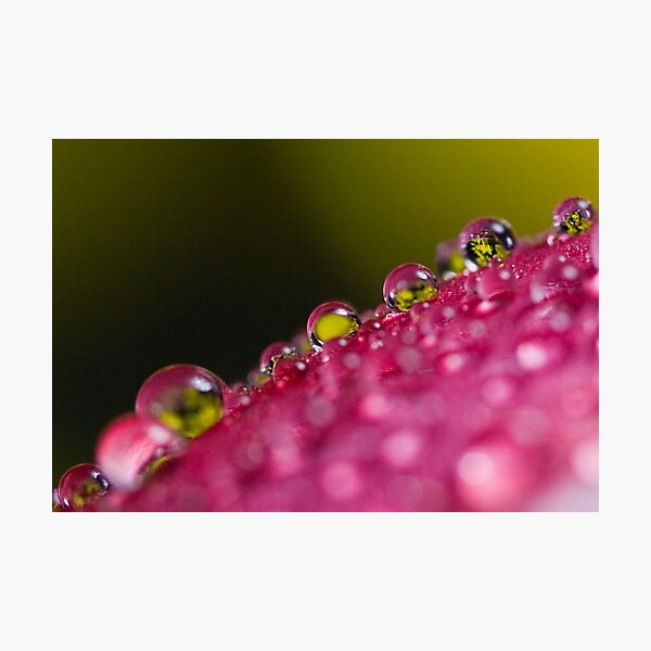 Item preview, Bejewelled designed and sold by Lynne Morris.