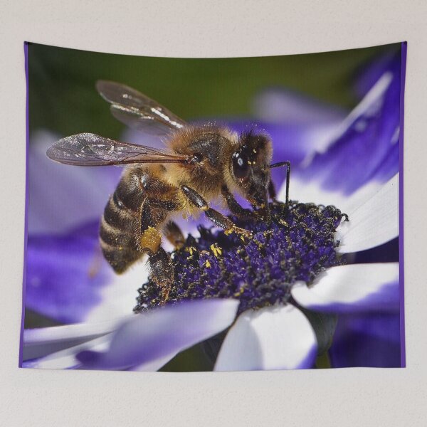 Item preview, Bee (MKW-I.51) designed and sold by Katrina Morgan.