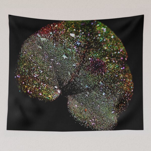 Item preview, 12. Plants (MKW-P.12) designed and sold by Katrina Morgan.