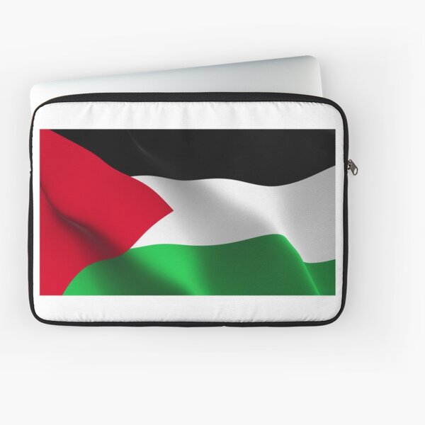 Palestinian flag : 36 465 images, photos de stock, objets 3D et images  vectorielles