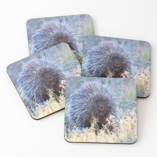 Item preview, Porcupine in the meadow designed and sold by James Cumming.