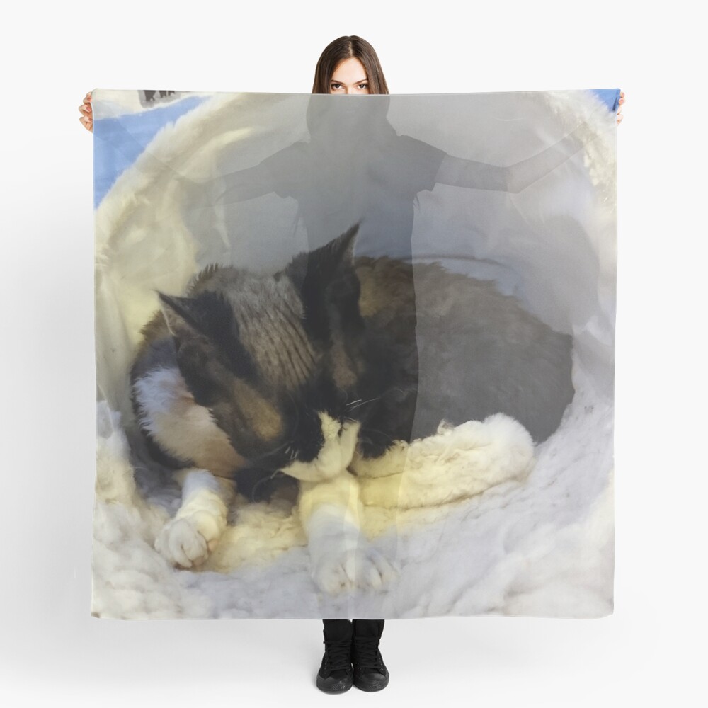 Devonshire cat asleep Scarf