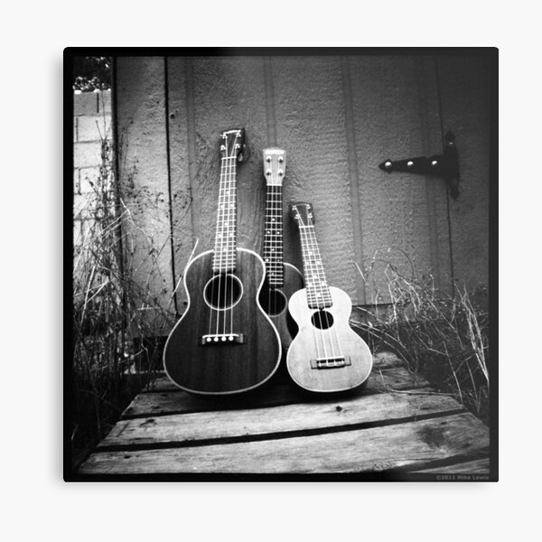 Family Portrait Metal Print