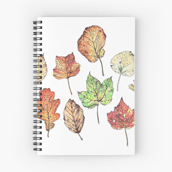 Item preview, Autumn in New England designed and sold by fivesirens.