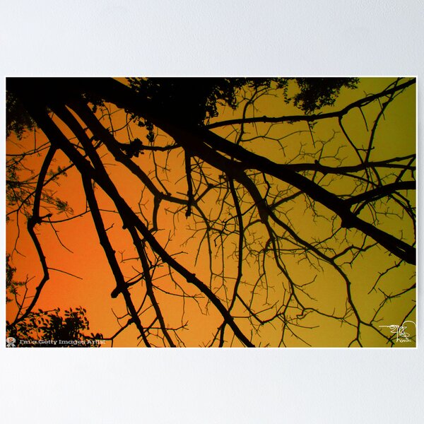 Item preview, Sun Rise at Sylhet  designed and sold by HamimCHOWDHURY.